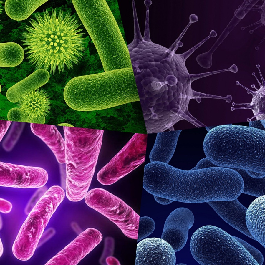 Disinfettare con il cloro ipoclorito