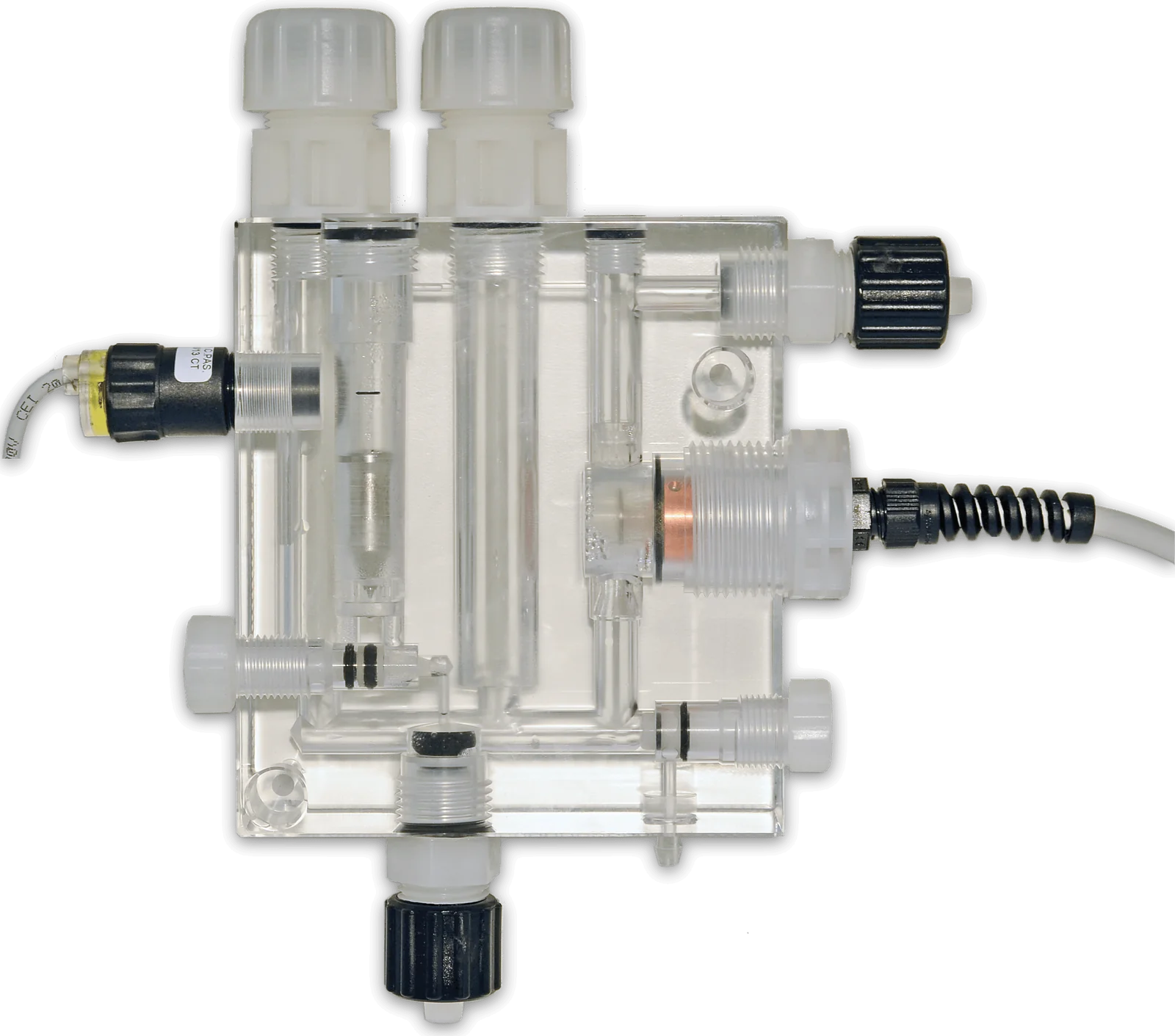 ECL6