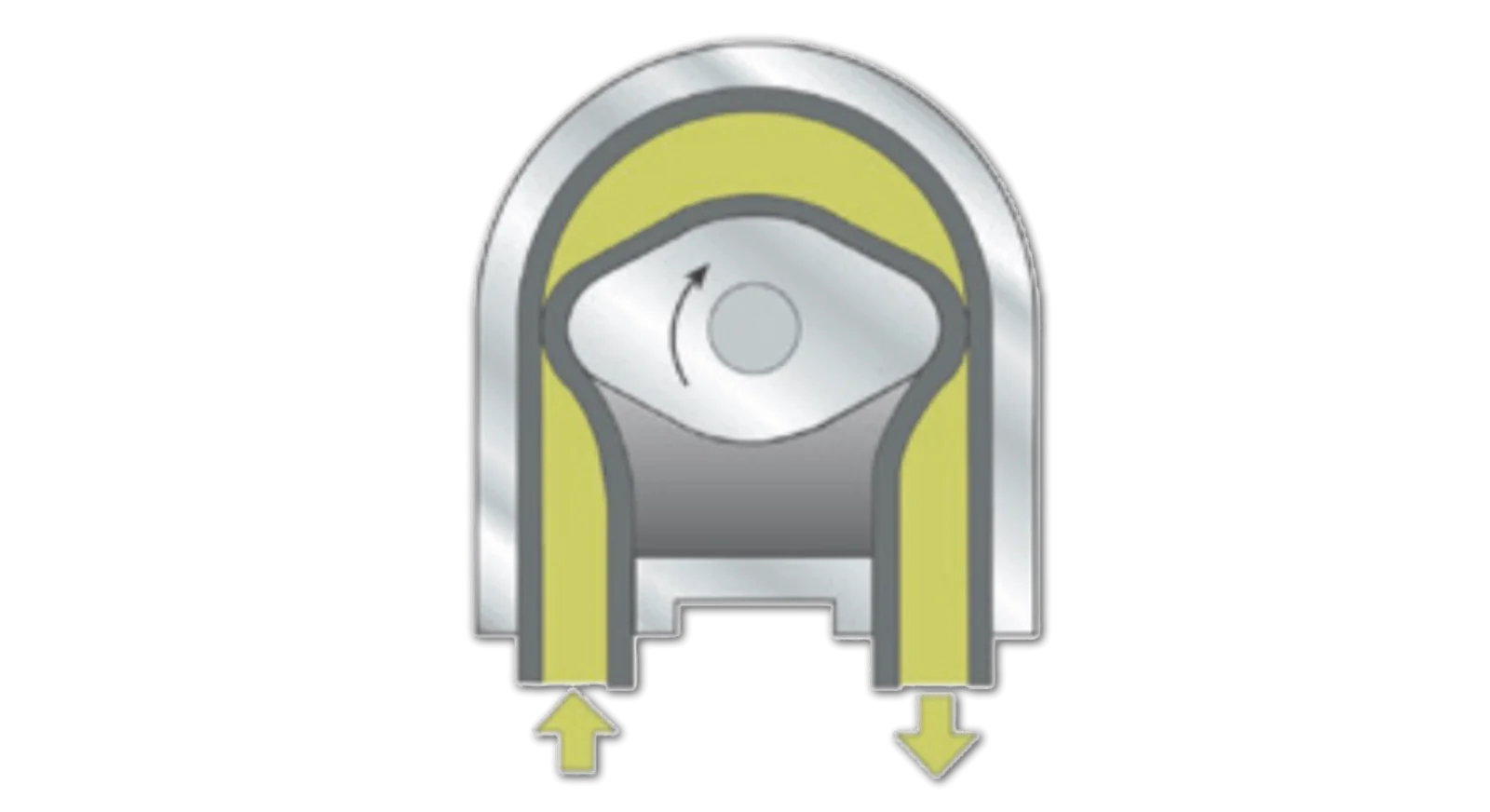 Peristaltic pump rotor